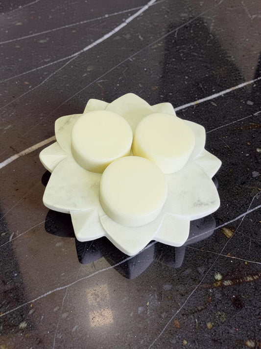Citrus Soap Dish Set